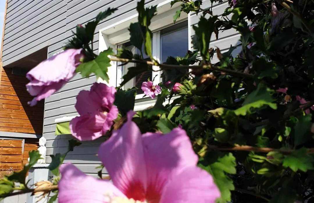 Happiness Cottage-1